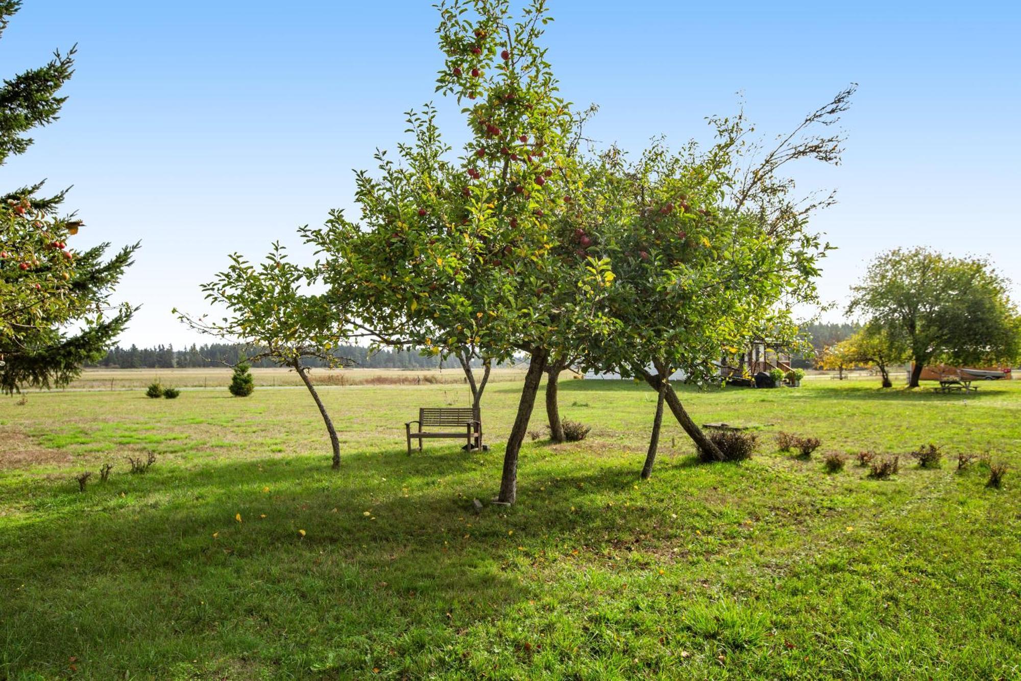 Historic Officer'S Farmhouse At Olf Coupeville Extérieur photo