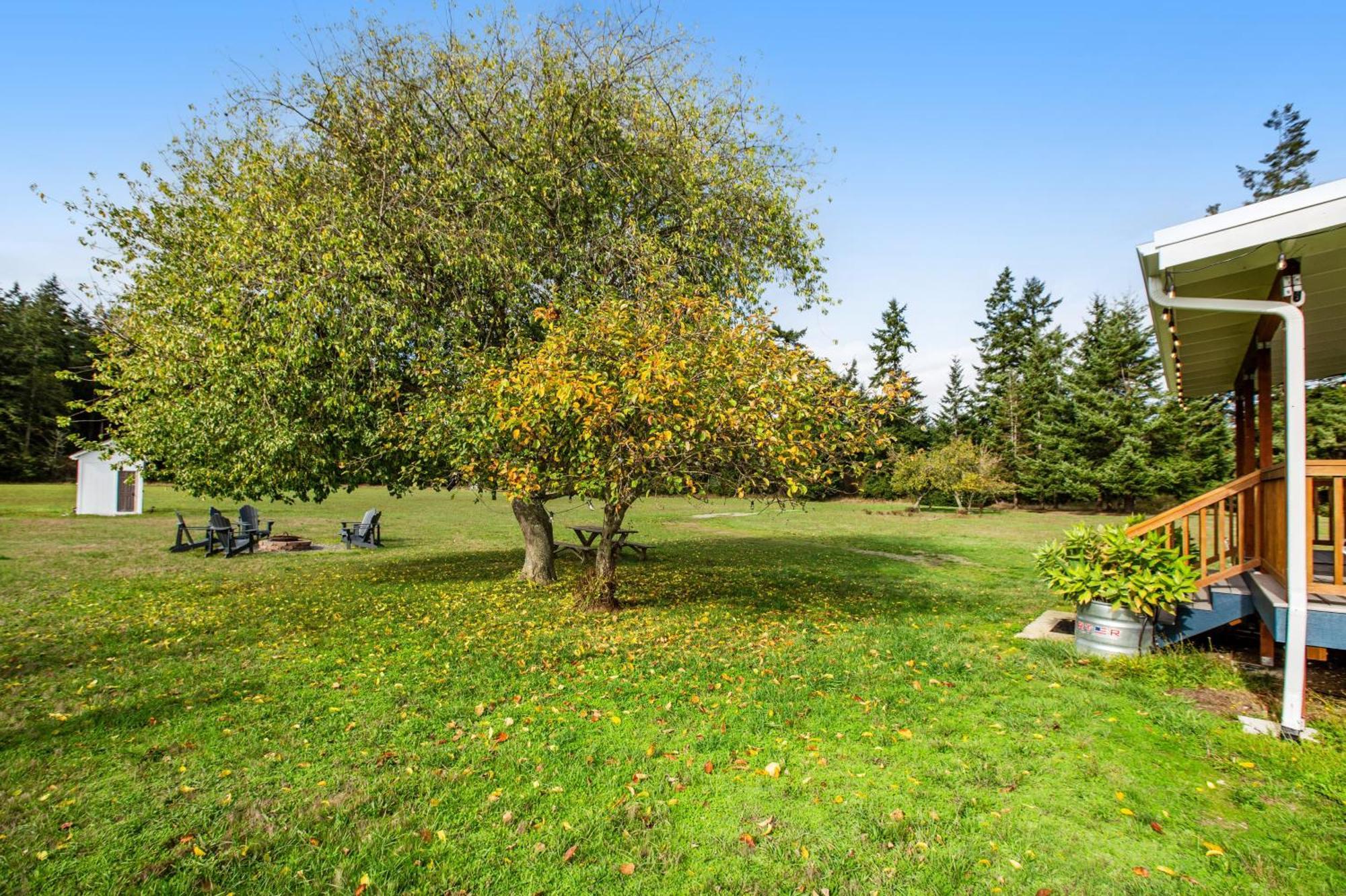 Historic Officer'S Farmhouse At Olf Coupeville Extérieur photo